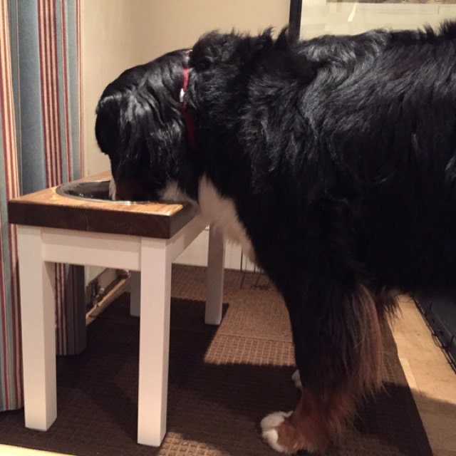 mittlere Hunde doppelte Schüssel Hund erhöhte Hundenapf Hund Etsy