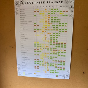 Annual Vegetable Growing Planner // Allotment and Garden Calendar - Etsy UK