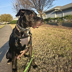 Clarissa added a photo of their purchase