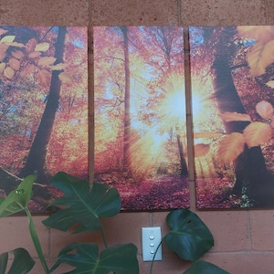Yvonne added a photo of their purchase