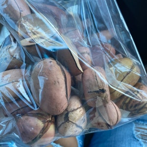 Khadijah added a photo of their purchase