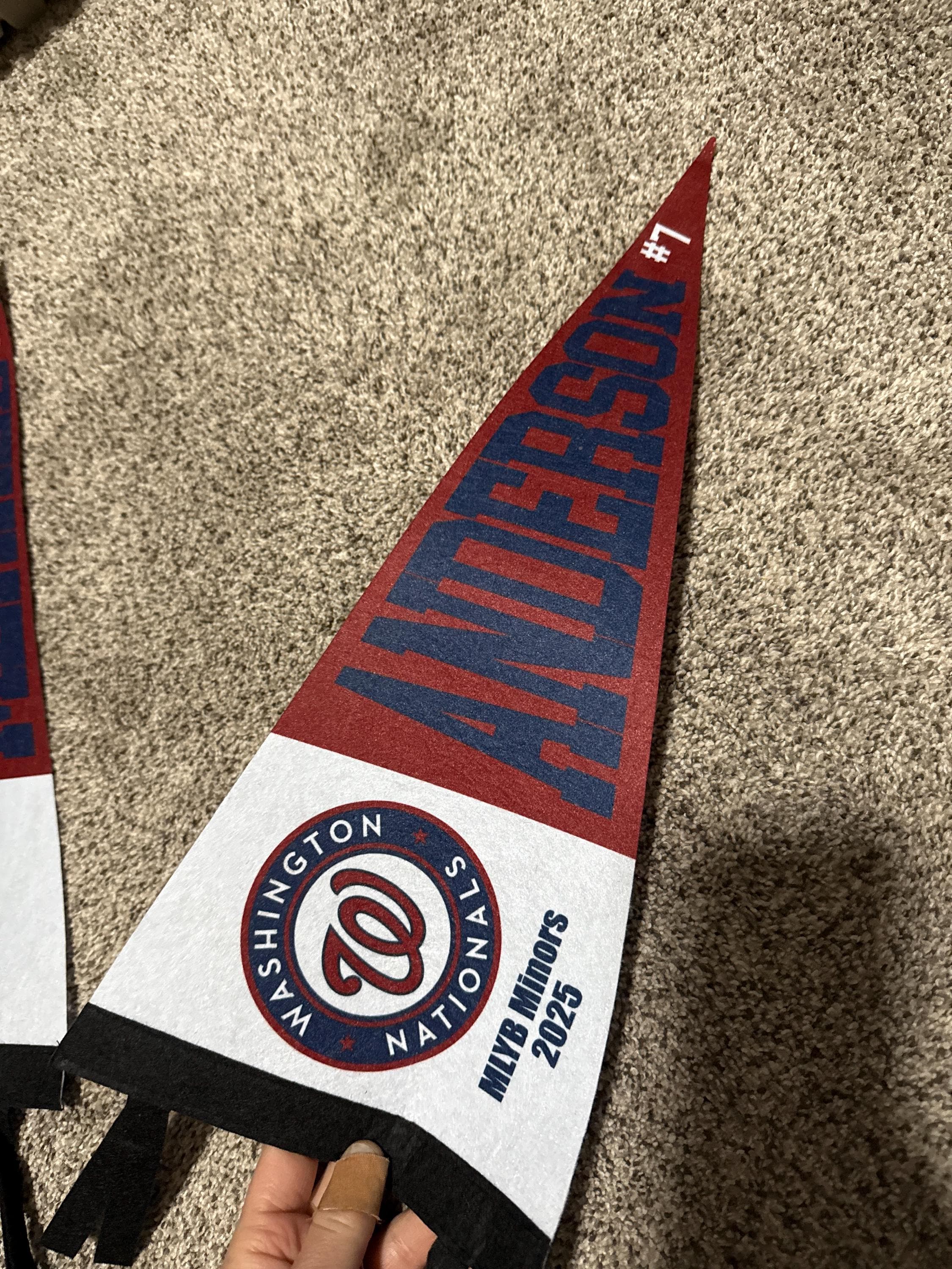 Custom Team Pennant. End of Season Gifts. Custom College Banner. Kota Couture