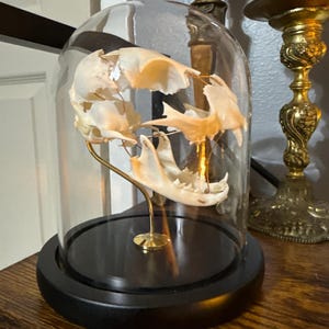 Analise added a photo of their purchase