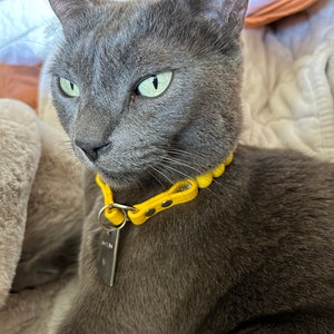 Cami added a photo of their purchase