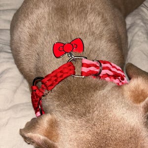 Yashia ha añadido una foto de su compra