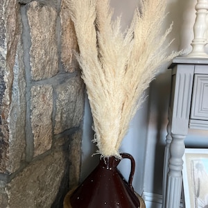 Theresa added a photo of their purchase