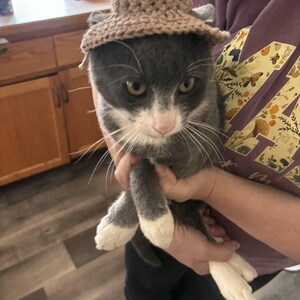かぎ針編みパターン：耳穴付き猫用カウボーイハット、猫用カウボーイ