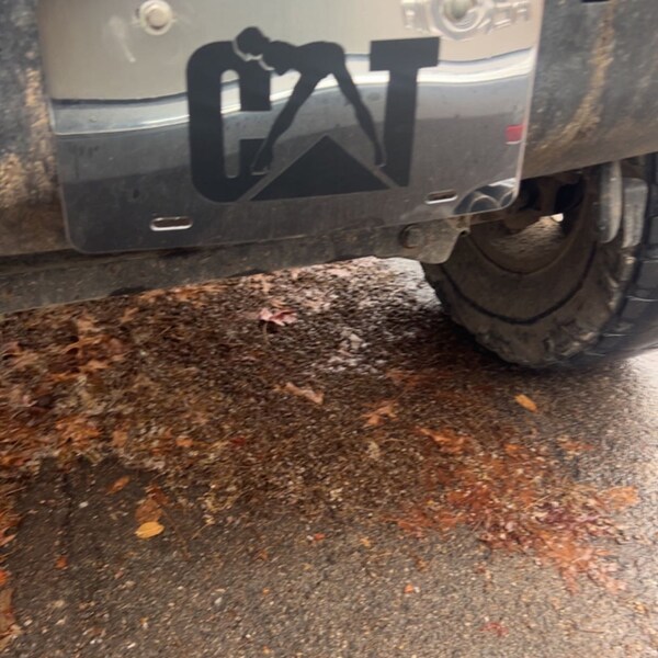 O.g. Mobster Orgnal Gangster Car Truck Wndow Wall Laptop Vnyl Decal