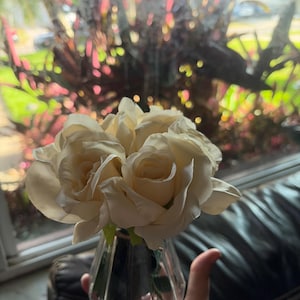 Jimmy a ajouté une photo de son achat