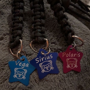 Cami added a photo of their purchase