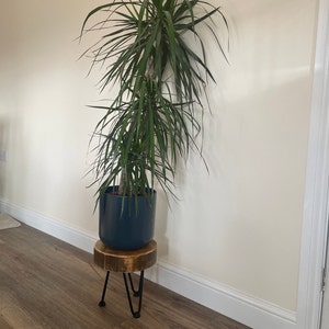 Maggie added a photo of their purchase
