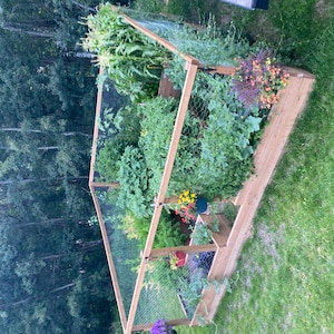 Robert added a photo of their purchase