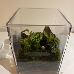 Mrs added a photo of their purchase