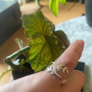Meghan added a photo of their purchase