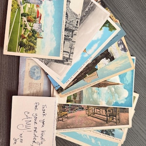 Amy hat ein Foto des gekauften Artikels hinzugefügt