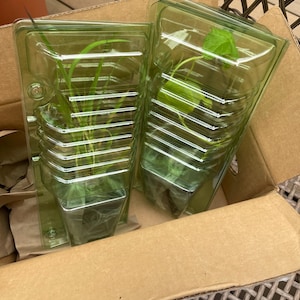 Toni added a photo of their purchase