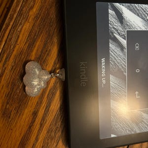 Taylor added a photo of their purchase