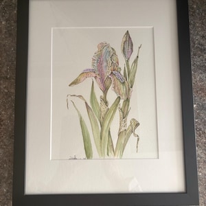 Ann added a photo of their purchase