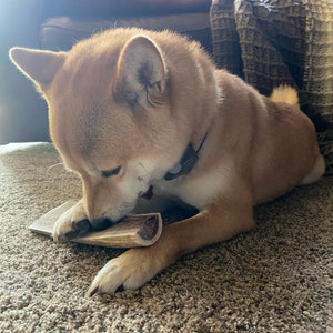tina added a photo of their purchase