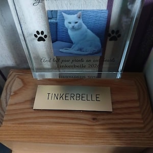 Kelly added a photo of their purchase