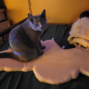 Tobi added a photo of their purchase