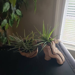 Carla added a photo of their purchase