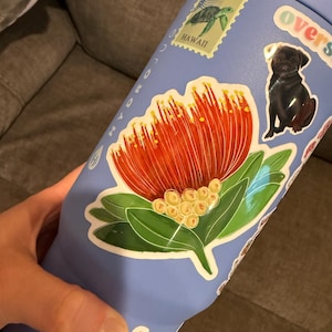 Kristina. added a photo of their purchase