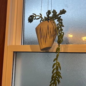 Holly added a photo of their purchase