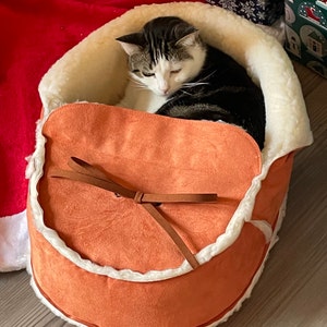 moccasin cat bed