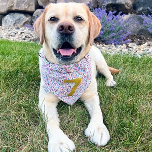 Aspen added a photo of their purchase