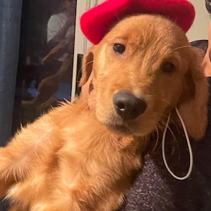 Chloe ha aggiunto una foto del proprio acquisto