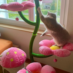 Cor added a photo of their purchase