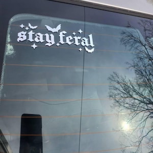 Hailey added a photo of their purchase