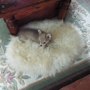 Amanda added a photo of their purchase