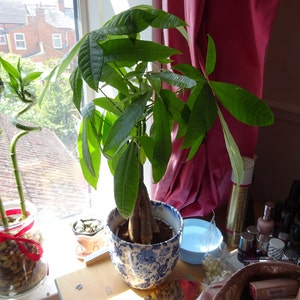 Eva added a photo of their purchase