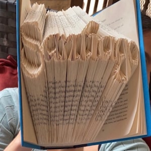 Leslie added a photo of their purchase