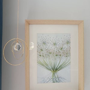 Julie added a photo of their purchase