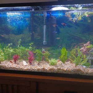 Swell Green Ludwigia Artificial Plant - Complete Aquarium Store | Fish