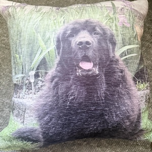 Aaron added a photo of their purchase