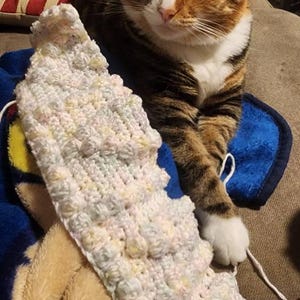 Ann さんが購入した商品の写真を追加しました