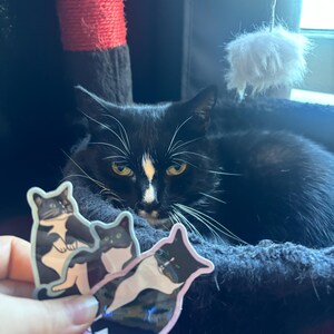 Madison added a photo of their purchase