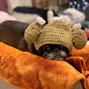 Jeanne added a photo of their purchase