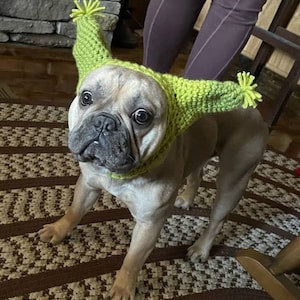 Gwyn added a photo of their purchase