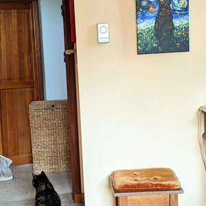 Soleil added a photo of their purchase