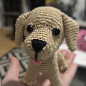 Zsófia added a photo of their purchase