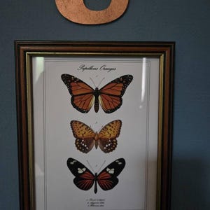 Fiona added a photo of their purchase