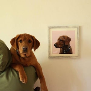 Nathan ha añadido una foto de su compra