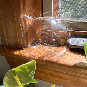 Meghan added a photo of their purchase