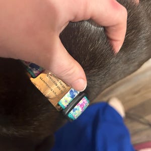 Savanna added a photo of their purchase