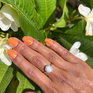 Crystal adicionaram uma foto da sua compra